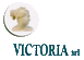 VICTORIA INVESTIGAZIONI E SICUREZZA srl