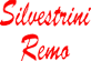 REMO SILVESTRINI REMO SILVESTRINI