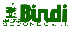 BINDI SECONDO srl