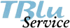 T. BLU SERVICE srl