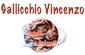 GALLICCHIO VINCENZO srl GALLICCHIO VINCENZO srl