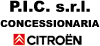 P.I.C. srl