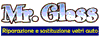 MR. GLASS
