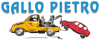 GALLO PIETRO AUTODEMOLIZIONE