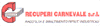 RECUPERI CARNEVALE srl