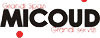 MICOUD srl - GRANDI SPAZI - GRANDI SERVIZI - NEGOZIO
