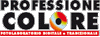 PROFESSIONE COLORE sas