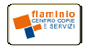 FLAMINIO CENTRO COPIE E SERVIZI srl