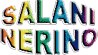 SALANI NERINO FOTOCOPIE di SALANI FABRIZIO  C. sas