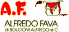 ALFREDO FAVA di BOLCIONI ALFREDO  C. sas
