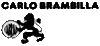 BRAMBILLA CARLO srl