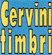 CERVINI TIMBRI sas