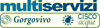 MULTISERVIZI spa
