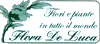 DE LUCA FLORA