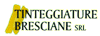 TINTEGGIATURE BRESCIANE srl