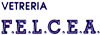 VETRERIA F.E.L.C.E.A. srl