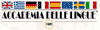 ACCADEMIA DELLE LINGUE srl