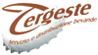 SOCIETA  TERGESTE srl