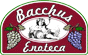 BACCHUS srl