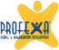 PROFEXA CONSULTING srl PROFEXA CONSULTING srl