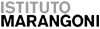 ISTITUTO MARANGONI srl