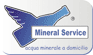 MINERAL SERVICE snc