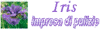 IRIS di NOVELLI IRIS