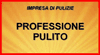 PROFESSIONE PULITO