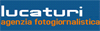LUCA TURI srl