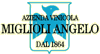 MIGLIOLI ANGELO di MIGLIOLI ALBERTO  ANDREA snc