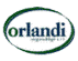 ORLANDI VIRGINIO  FIGLI srl