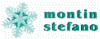MONTIN STEFANO