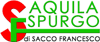AQUILA SPURGO di SACCO FRANCESCO