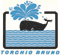 TORCHIO BRUNO snc TORCHIO BRUNO snc