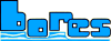 BORES srl