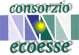 CONSORZIO ECOESSE srl