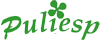 PULIESP srl
