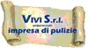 VIVI IMPRESA DI PULIZIE VIVI srl