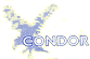 CONDOR srl