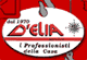 D ELIA SERVICE srl D ELIA SERVICE srl