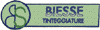 BIESSE TINTEGGIATURE srl