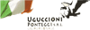 UGUCCIONI PONTEGGI srl A.S.U.