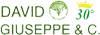 DAVID GIUSEPPE  C. sas