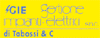 G.I.E. s.r.l. G.I.E. GESTIONE IMPIANTI ELETTRICI srl