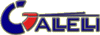 GALLELLI ESTINTORI