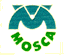 MOSCA GIUSEPPE C. srl MOSCA GIUSEPPE C. srl