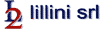 L2 LILLINI srl
