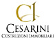 CESARINI COSTRUZIONI IMMOBILIARI srl