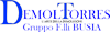 DEMOLTORRES GRUPPO F. LLI BUSIA