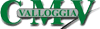 CMV VALLOGGIA srl